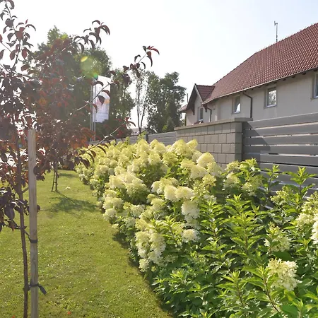 Piaskowy Dom ホームステイ