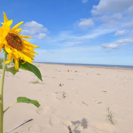 ホームステイ Piaskowy Dom ヤンタル