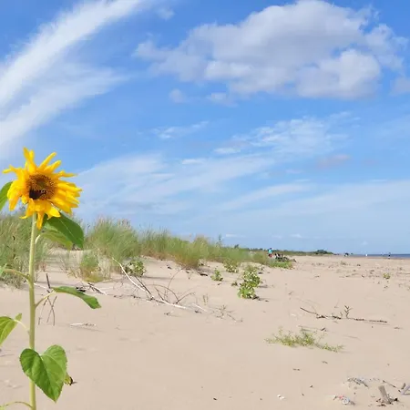 Piaskowy Dom Янтар