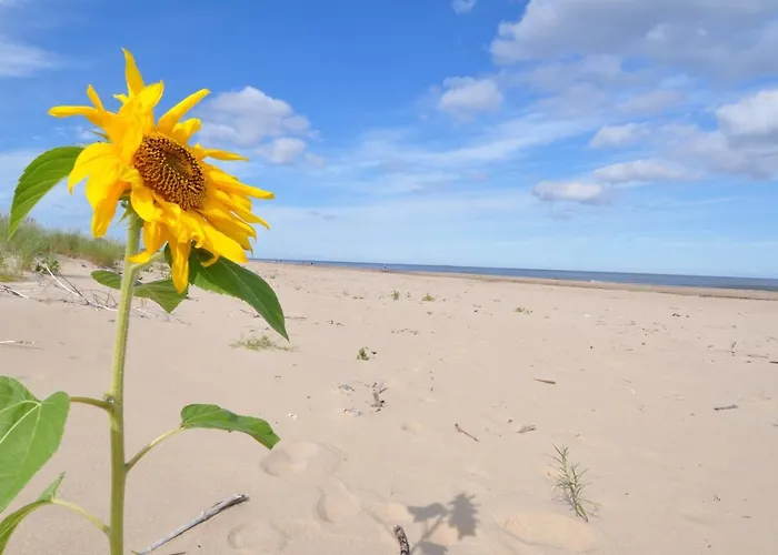 Accommodatie bij particulieren Piaskowy Dom Jantar