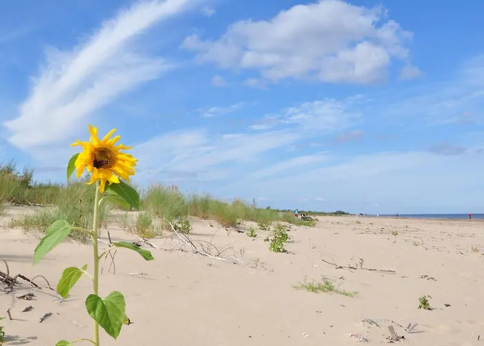 Piaskowy Dom يانتار